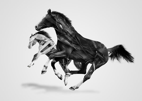 Horses - Digital Art