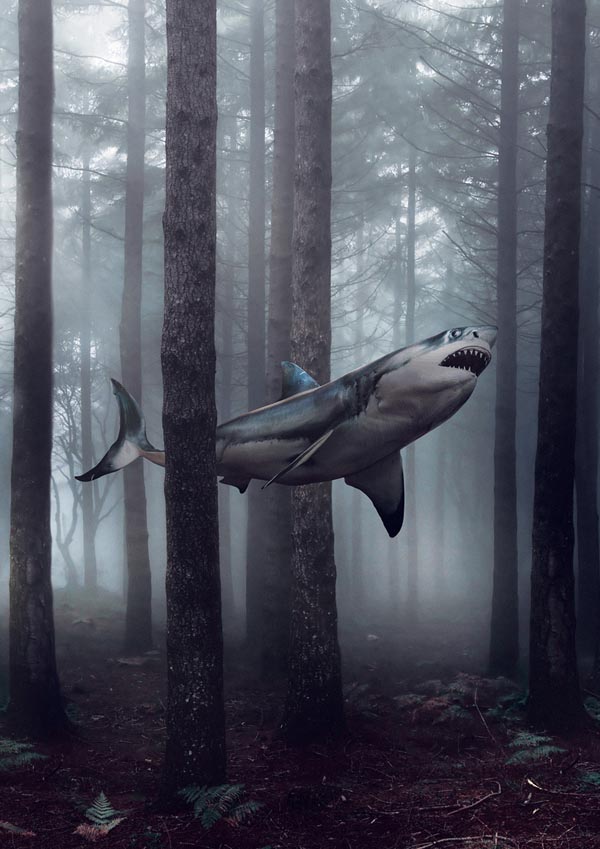 Shark in a Forest - Surreal Artwork by Jack Crossing