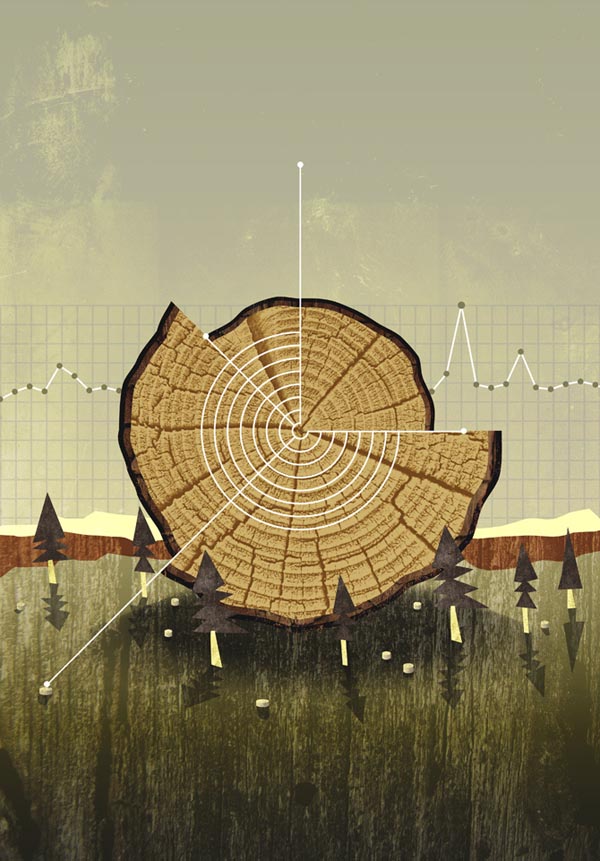 Forest Management - Graphic by Michael Paukner