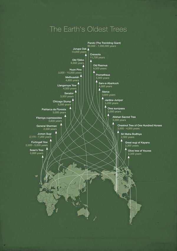 Trembling Giants - Infographic by Michael Paukner