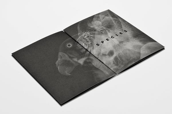 SPECIES Book - Editorial Design by Planning Unit