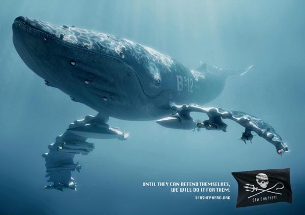 Sea Shepherd Campaign