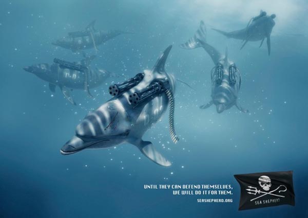 Sea Shepherd Campaign