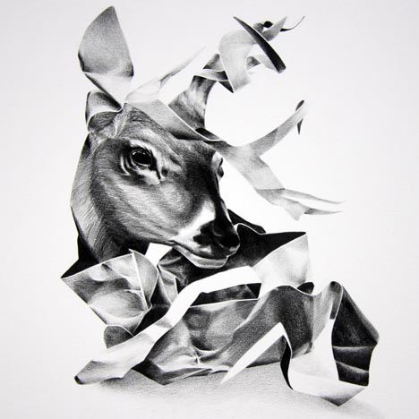 Deer - Illustration Art by Christina Empedocles