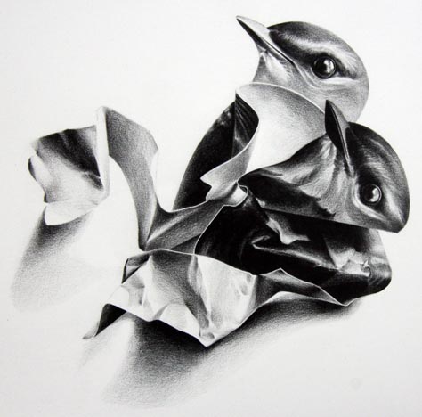 Two Birds - Drawing by Christina Empedocles