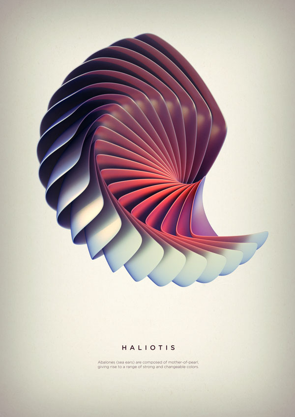 Haliotis - Digital Art by Črtomir Just