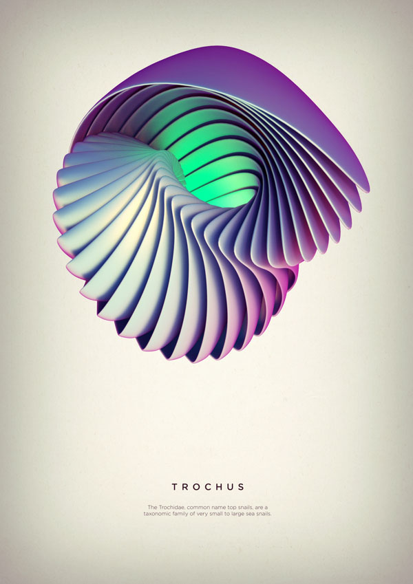 Trochus - Digital Art by Črtomir Just