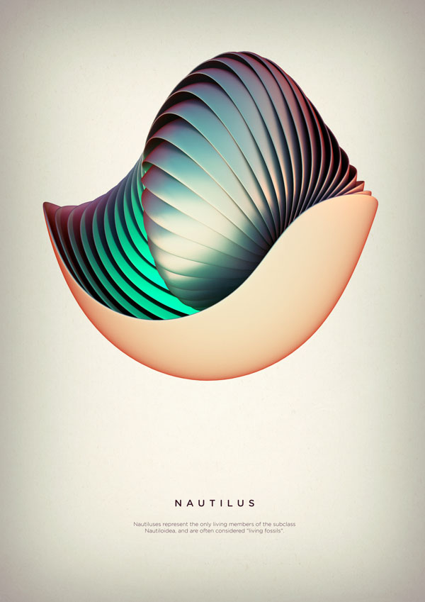 Nautilus - Digital Art by Črtomir Just