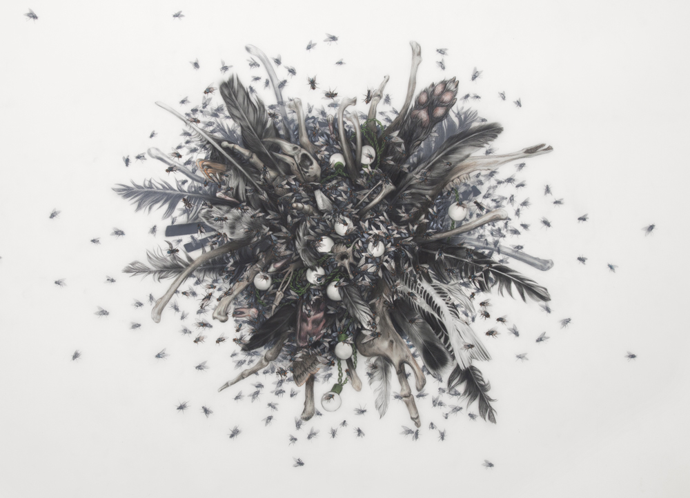 Implosion with Flies - Pathetic Fallacy Drawing by Anthony Goicolea