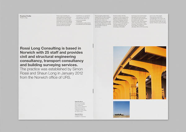Rossi Long Consulting - Brochure Design by Matthew Hancock