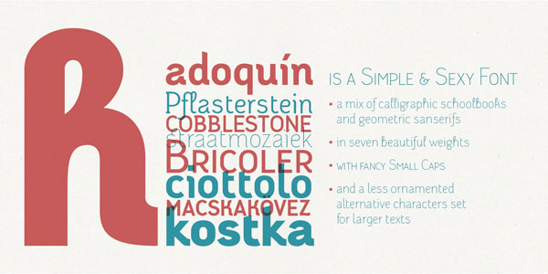 Adoquin a friendly type family