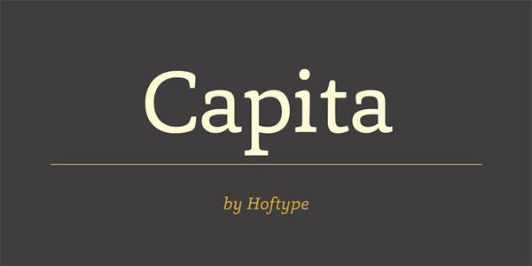 Capita - Serif Font by Dieter Hofrichter