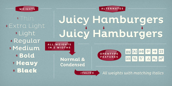 Pluto Font Family by Hannes von Döhren - Typefaces and Weights