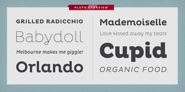 Pluto Type Family by Hannes von Döhren - Fonts Overview