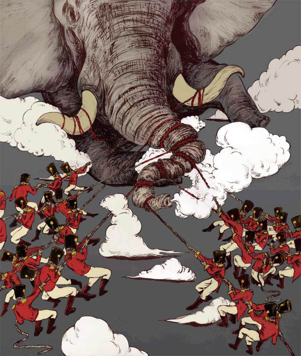 Elephant - Illustration by Siyu Chen