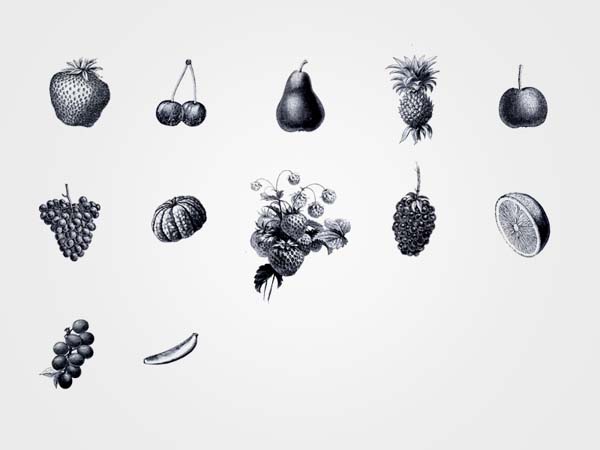 The Living Co. - Organic Store - Fruit Illustrations by Big Horror Athens