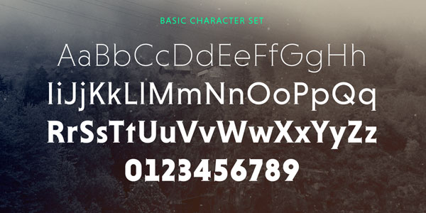 Niveau Serif - Basic Character Set