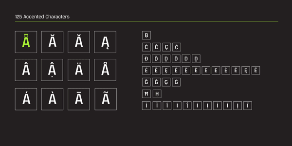 Reznik Font - 125 Accented Characters