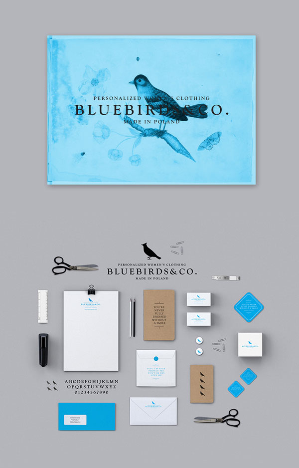 Bluebirds&Co. Brand Identity by Krzysztof Zdunkiewicz