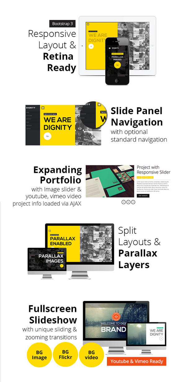 DIGNITY - WordPress Theme Options and Features