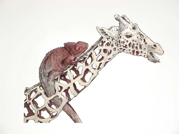 Emptyland - ribbon effect animal drawing by Jaume Montserrat