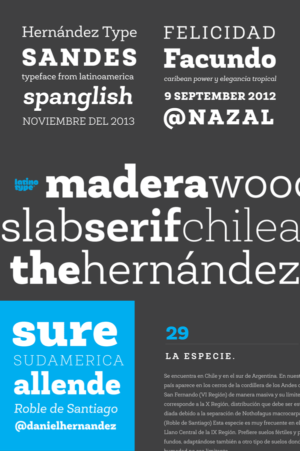 Roble Slab Serif Font by Latinotype