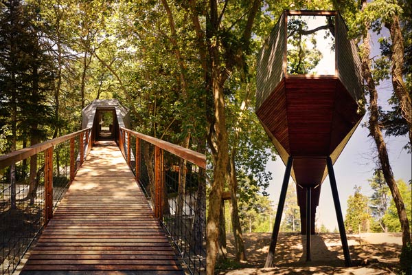 The Tree Snake House by Rebelo de Andrade