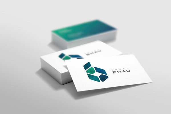 Grupo BHAU - Business Cards by Diego Leyva