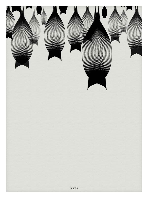 Bats - Vector Illustration by Andrea Minini
