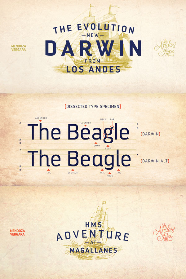 Darwin font family from Los Andes