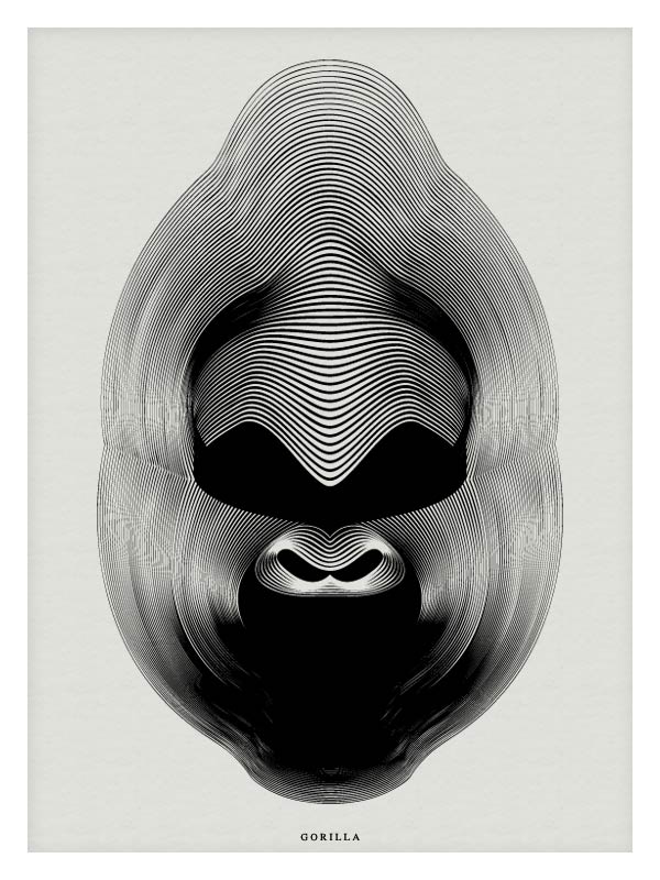 Gorilla - Vector Illustration by Andrea Minini