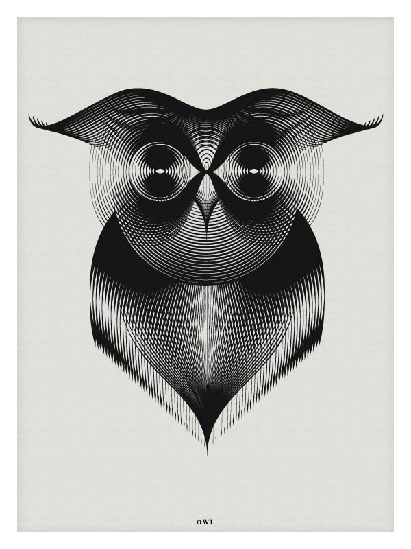 Owl - Vector Illustration by Andrea Minini