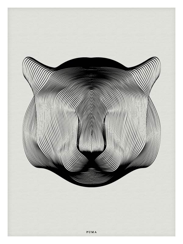 Puma - Vector Illustration by Andrea Minini