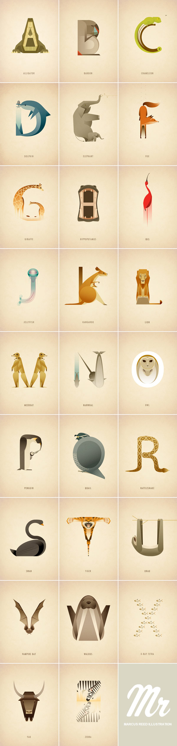 Illustrated animal alphabet created by freelance illustrator Marcus Reed