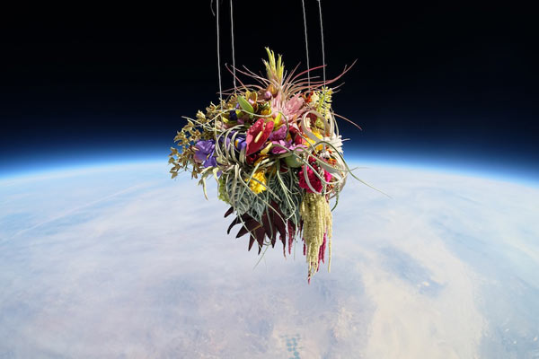 Plants on a botanical space flight, realized by Japanese artist Azuma Makoto and his crew.