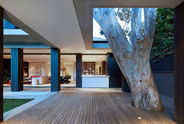 The covered outdoor spaces are literally built around a gum tree.