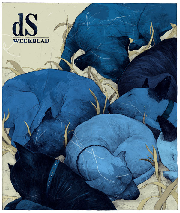 De Standaard - Cover artwork for DS weekblad about reconciliation.