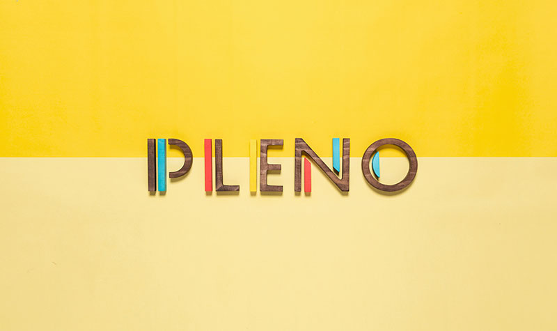 The Pleno logotype.