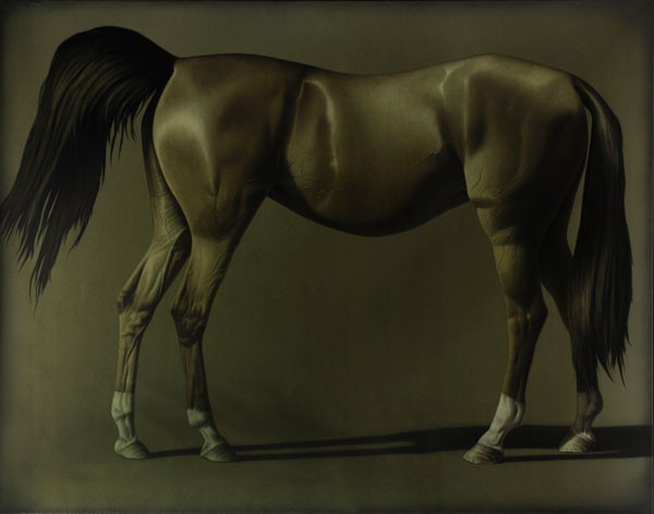 Horseback, 2014, Acrylic on canvas, 140 x 180 cm