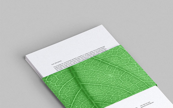 Printed collateral.