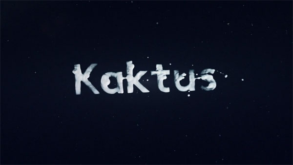 Kaktus im Weltraum, an analog video project by German motion designer Robin Albrecht.