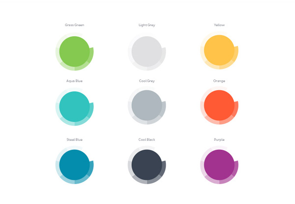 The chosen colors for the brand identity.