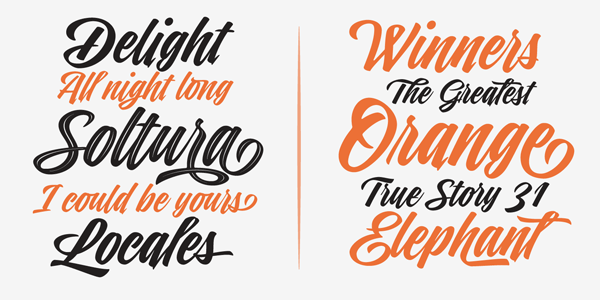 A brush script font family with diverse styles.