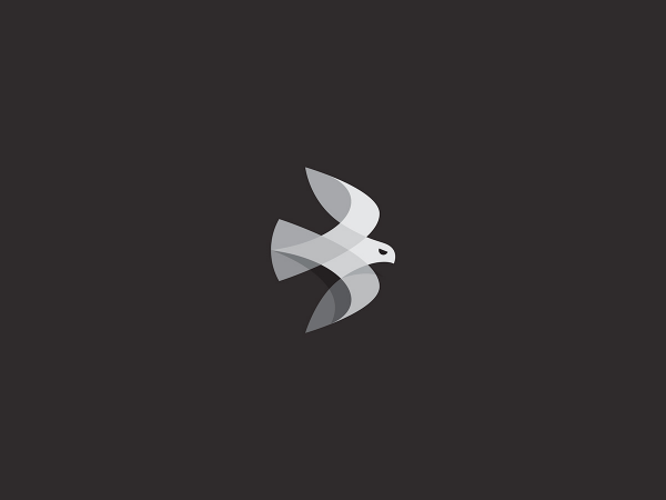 Beautiful birds as graphics, logos, and icons.