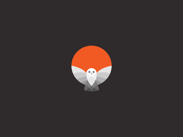 Owl logo created from simple graphic shapes and circles.