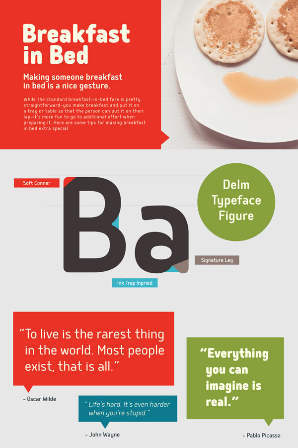The Delm fonts from Typesketchbook, a large and useful family for multiple applications.