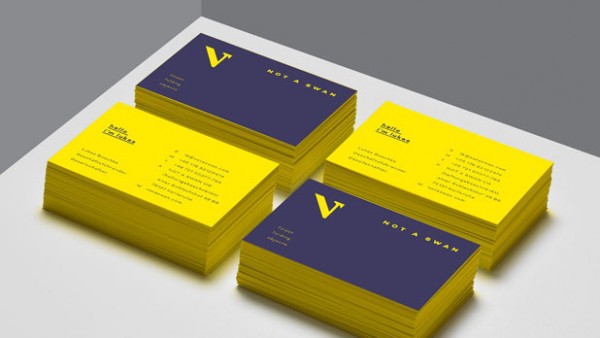 A set of business cards printed on both sides.