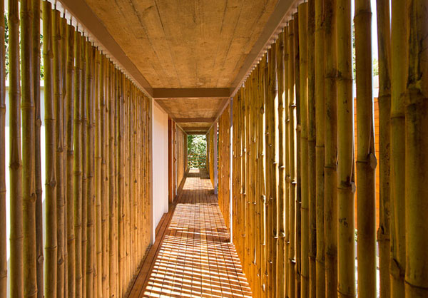 The long corridor is laterally delimited by bamboo trees, where the light can shine through.