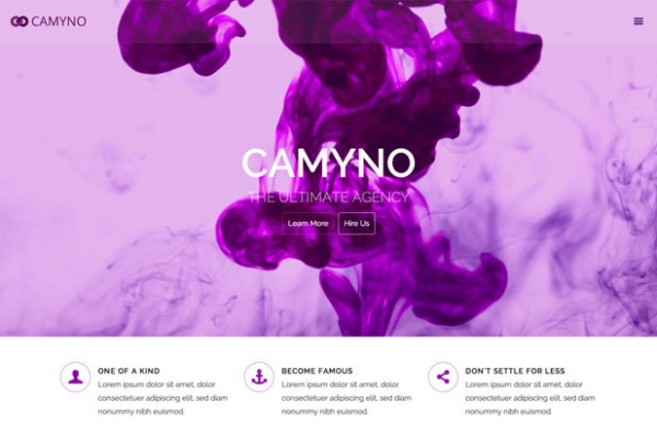 Camyno works great as agency and corporate website.