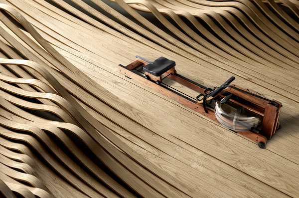 Rowing Machine by John Duke - Work from a series of 10 luxury items.
